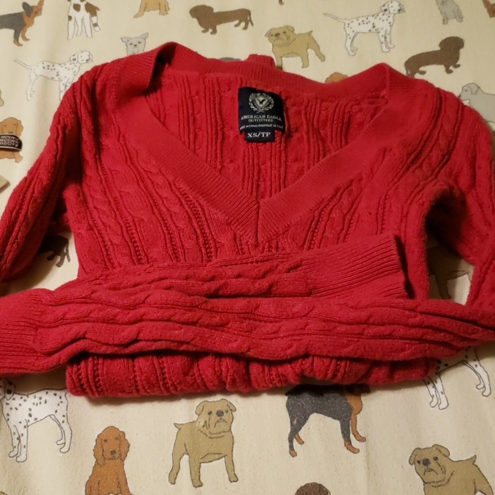 American eagle sweater